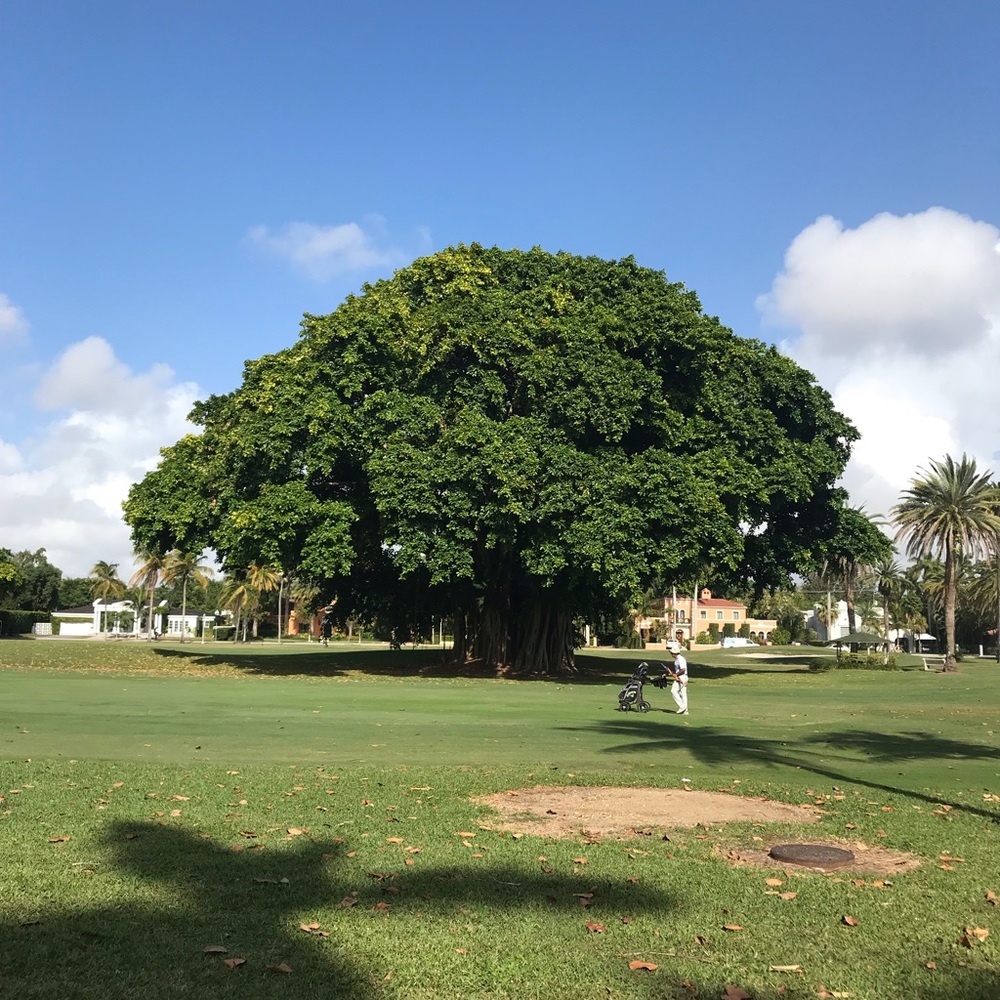 Meet your Posher, Ke